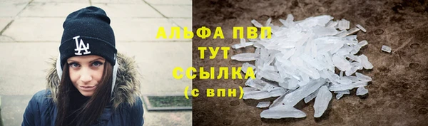 гидра Алексин
