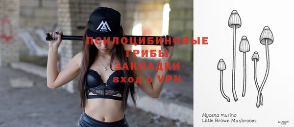 крисы Абдулино