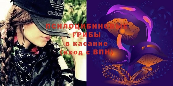 крисы Абдулино