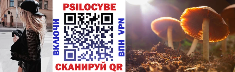 наркота Усолье блэк спрут зеркало Галлюциногенные грибы мицелий